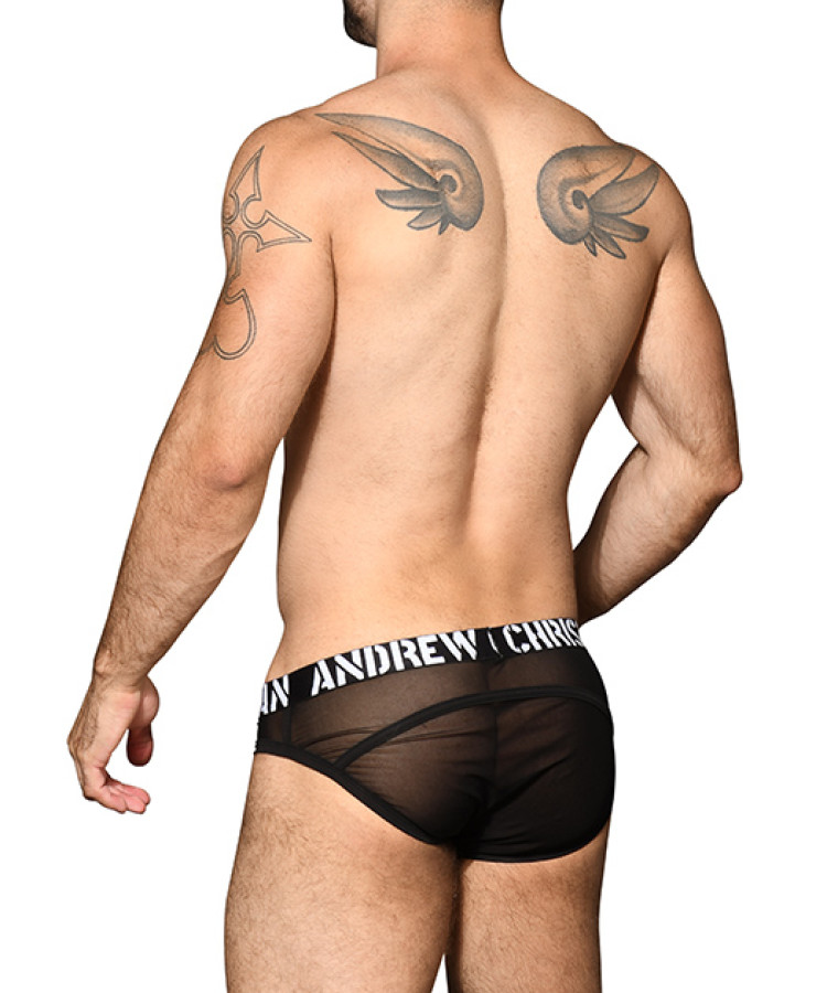 Sexy Mesh Arch Brief Almost Naked