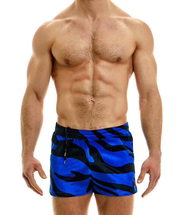 Tiger shorts blue